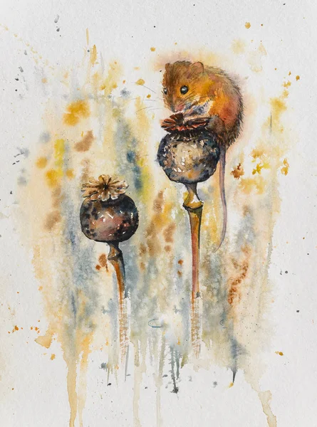 Mouse Sitting Poppy Heads Picture Created Watercolors — Stock Photo, Image