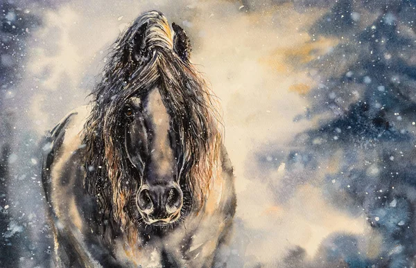 Černý Kůň Zimě Obrázek Vytvořený Akvarely — Stock fotografie