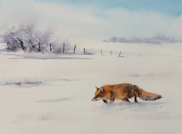 白い雪の中を実行している野生の自然 赤狐から冬景色 水彩絵の具で作成された図 — ストック写真