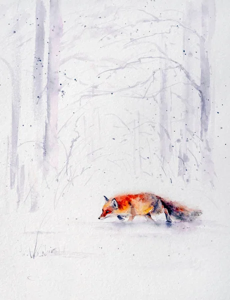 Winter Scene Wild Nature Red Fox Running White Snow Picture — Stock Photo, Image