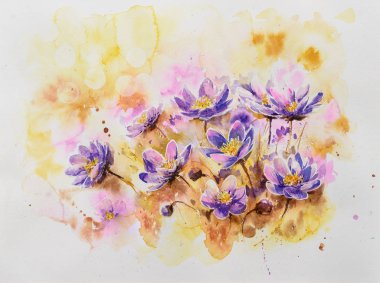 Pennywort çiçeği suluboya boyalı. Çiçek açan liverwort çiçek. Doğal ortamda Kidneywort.