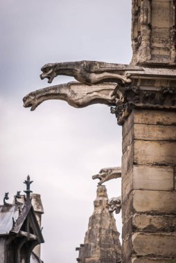 Gargoyles -Katolik katedrali Notre-Dame de Paris mimari detayları. 