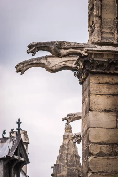 Gargoyles Détails Architecturaux Cathédrale Catholique Notre Dame Paris — Photo