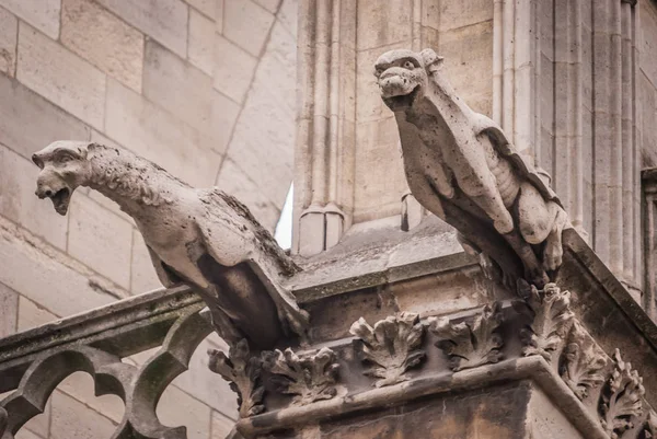 Gargoyles Detalhes Arquitetônicos Catedral Católica Notre Dame Paris — Fotografia de Stock