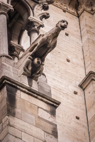 Gargoyles Detalhes Arquitetônicos Catedral Católica Notre Dame Paris — Fotografia de Stock