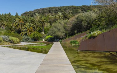 Montjuic park açık botanik bahçesi, Barselona.