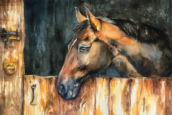 Huvudet Häst Stall Bild Som Skapats Med Akvareller — Stockfoto