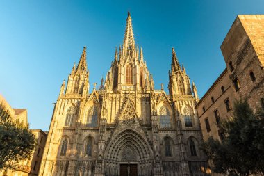 Barselona Katedrali, Gotik Katedral ve Plaza Nova'da Barselona Başpiskoposu koltuğu olarak bilinen Kutsal Haç ve Saint Eulalia Katedrali.