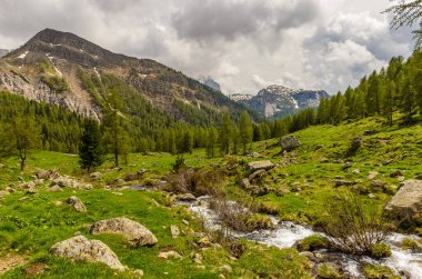 Baharda Alp yeşili vadi. Çimenli çayır ve bulutlu gökyüzü ile dağ manzarası.