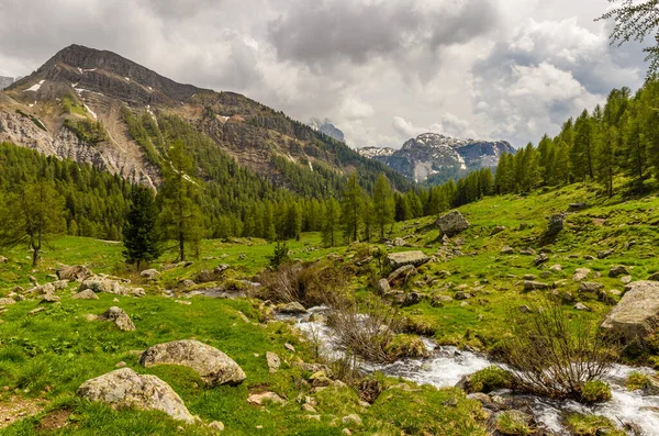 Alpine Green Valley Våren Fjellens Naturlandskap Med Gressmark Skyet Himmel – stockfoto