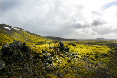 İzlanda'daki volkanik manzara yosun kaplı