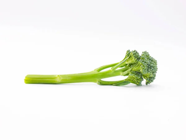 Een Speer Van Broccoli Kiemen Een Witte Achtergrond — Stockfoto