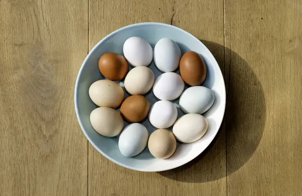 Tazón Huevos Pollo Diferentes Colores Visto Desde Arriba — Foto de Stock