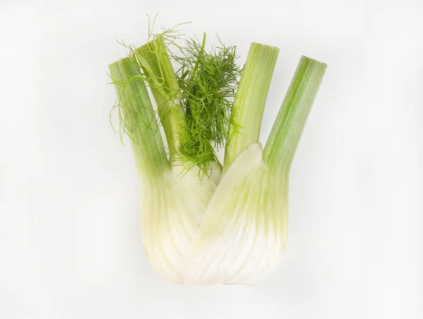 Fennel Bulb White Background — Stock Photo, Image