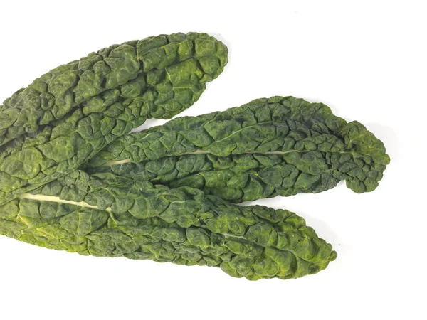 Three Cavalero Nero Kale Leaves White Background — Stock Photo, Image