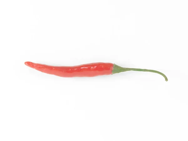 Small Red Birds Eye Chilli White Background — Stock Photo, Image