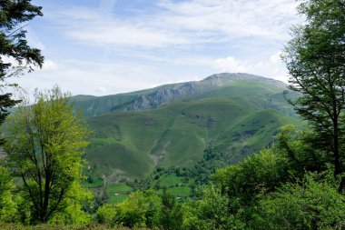 pyrenean dağı