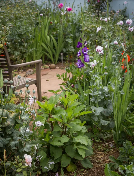 Calm English garden with wild flowers and a wooden chair