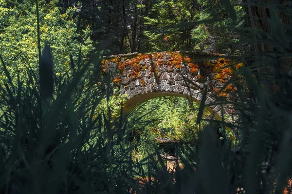 Αρχαία Ρωμαϊκή Γέφυρα Puente Romano Κοντά Στην Πόλη Bariloche Αργεντινή — Φωτογραφία Αρχείου