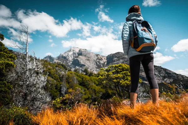 Mulher Caminhante Fica Prado Seco Goza Vistas Para Montanha Patagônia — Fotografia de Stock