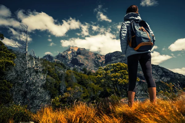 Женщина Турист Стоит Сухом Лугу Наслаждается Видом Горы Патагония Аргентина — стоковое фото