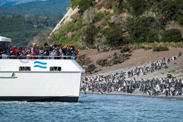 Ushuaia Argentina Febrero 2018 Grupo Turistas Toma Fotos Pingüinos Del — Foto de Stock