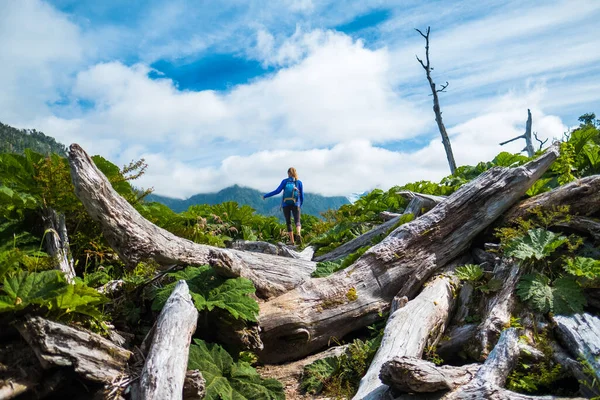 Mujer Excursionista Mueve Través Terrenos Difíciles Con Troncos Parque Nacional — Foto de Stock