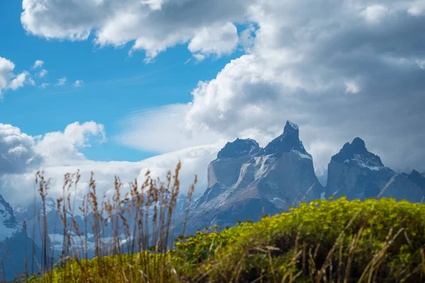 Nationalpark Torres Del Paine Cuernos Türme Und Wildkräuter Vordergrund Chile — Stockfoto