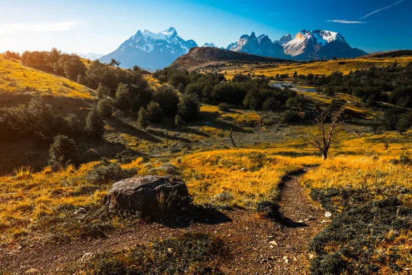Mountains Yellow Meadows Trail Torres Del Paine National Park Chile — Stock Photo, Image