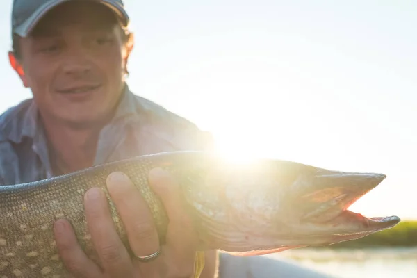 Giovane Pescatore Amatoriale Tiene Pesce Luccio Esox Lucius — Foto Stock