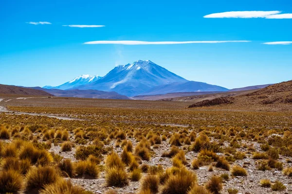 Czynny Wulkan Widoczny Dym Częściowo Pokryty Śniegiem Suchą Roślinnością Altiplano — Zdjęcie stockowe