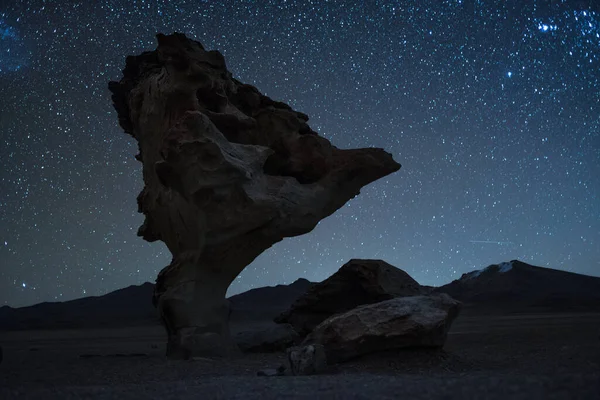 Formación Rocosa Llamada Árbol Piedra Con Cielo Estrellado Fondo Bolivia —  Fotos de Stock