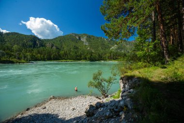 Adam güneşli bir günde Katun 'un hızlı nehrinde banyo yapacak, Altai Cumhuriyeti, Rusya