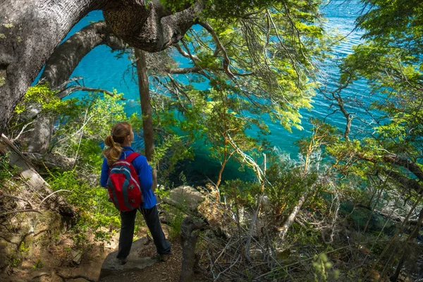 Turista Stojí Pobřeží Jezera Pod Stromem — Stock fotografie