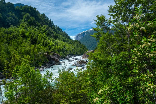 Grünes Tal Des Quelat Nationalparks Mit Hängendem Gletscher Horizont Puyuhuapi — Stockfoto