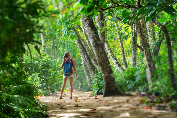 若い女性ハイカーは熱帯緑豊かな森の中に立って木を見ています エッジに適用される傾きシフト効果 — ストック写真