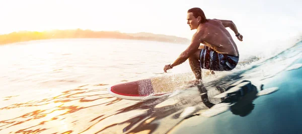 Sörfçü Güneş Doğarken Tropik Bölgelerde Camsı Hızlı Dalgalarda Sörf Yapar — Stok fotoğraf
