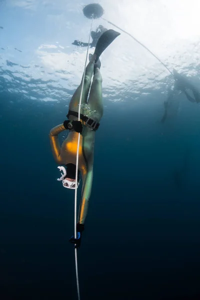 黄金のウェットスーツの女性フリーダイバーは オープン海でロープに沿って下降します — ストック写真