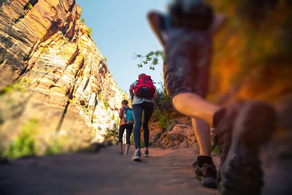 Randonneurs Marchent Sur Sentier Dans Parc National Zion États Unis — Photo