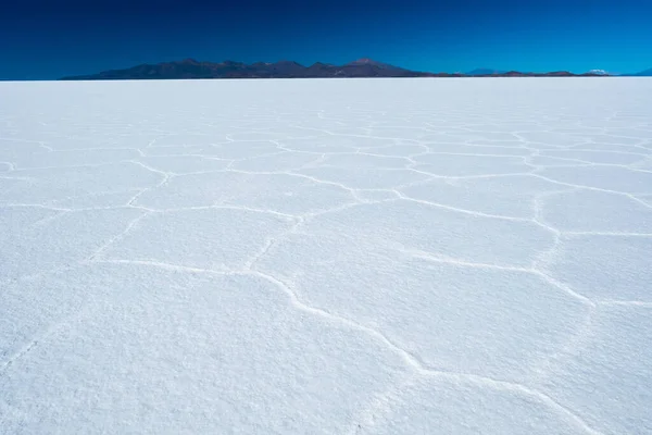 Salar Uyuni Sós Lakás Sejtmintákkal Napsütéses Időben Uyuni Bolívia — Stock Fotó