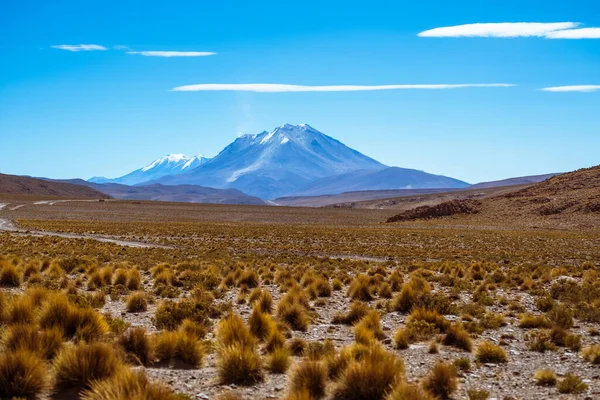 Berg Och Lenticular Moln Vid Öken Södra Bolivia — Stockfoto