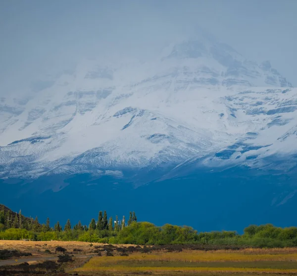 Fila Árboles Montañas Fondo Patagonia Argentina —  Fotos de Stock