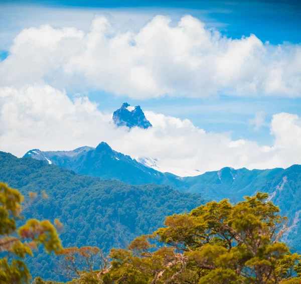 雪の山の雲や前景に緑豊かな木々に覆われたキャップ チリのパタゴニア — ストック写真
