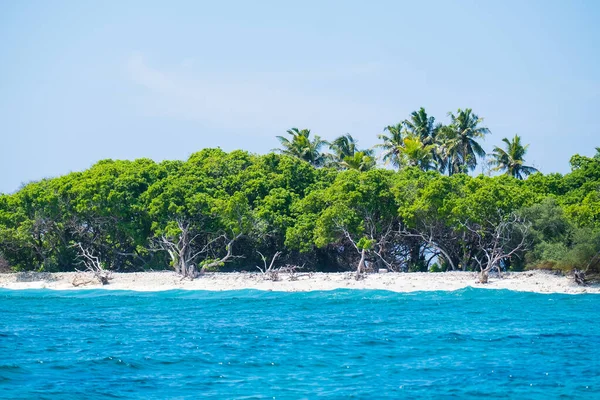 Błękitne Morze Zielone Tropikalne Drzewa Czyste Błękitne Niebo — Zdjęcie stockowe