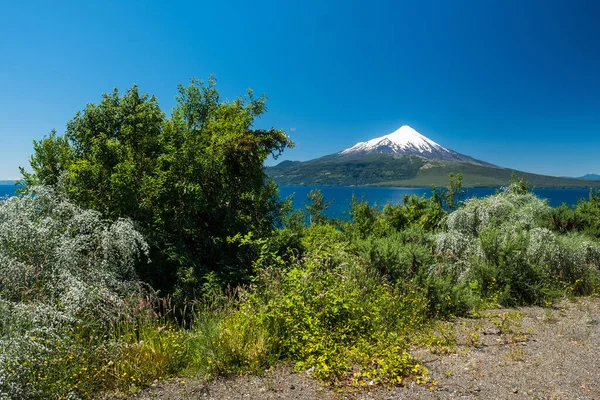 Osorno Vulkán Jégsapkával Nyáron Chile — Stock Fotó