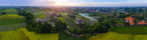 Luchtpanorama Van Rijstvelden Huizen Bali Indonesië — Stockfoto