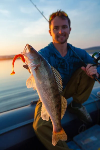 Молодий Рибалка Тримає Човні Під Час Заходу Сонця Рибу Zander — стокове фото