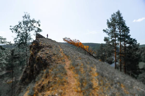 Der Wanderer Steht Gipfel Eines Berges Und Genießt Die Aussicht — Stockfoto