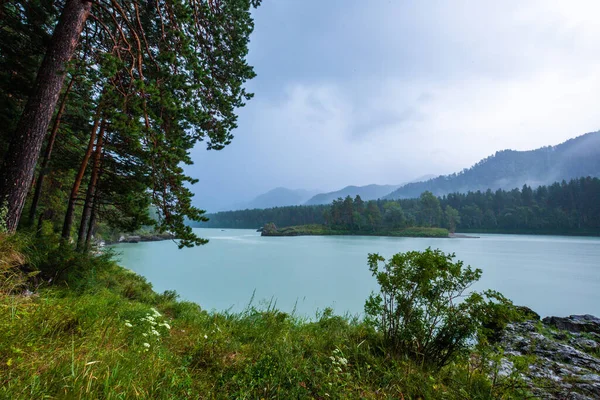 River Katun Altai Republic Rainy Day Russia — Stock Photo, Image