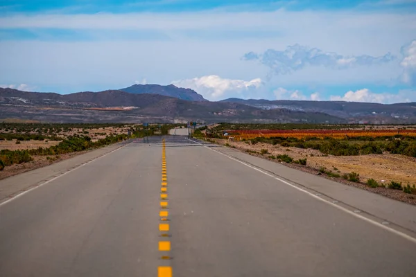 Bolivya Asfalt Yol — Stok fotoğraf